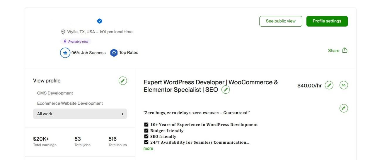 Arslan Upwork Profile